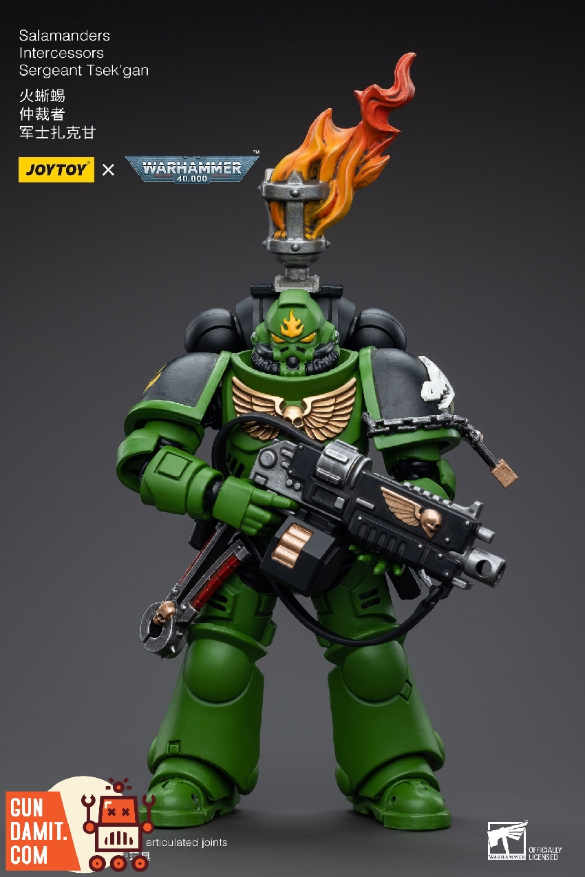 Front-facing view of Sergeant Tsek'gan in green Salamanders armor holding bolt rifle with skull knee pad detail Front-facing view of Sergeant Tsek'gan in green Salamanders armor holding bolt rifle with skull knee pad detail