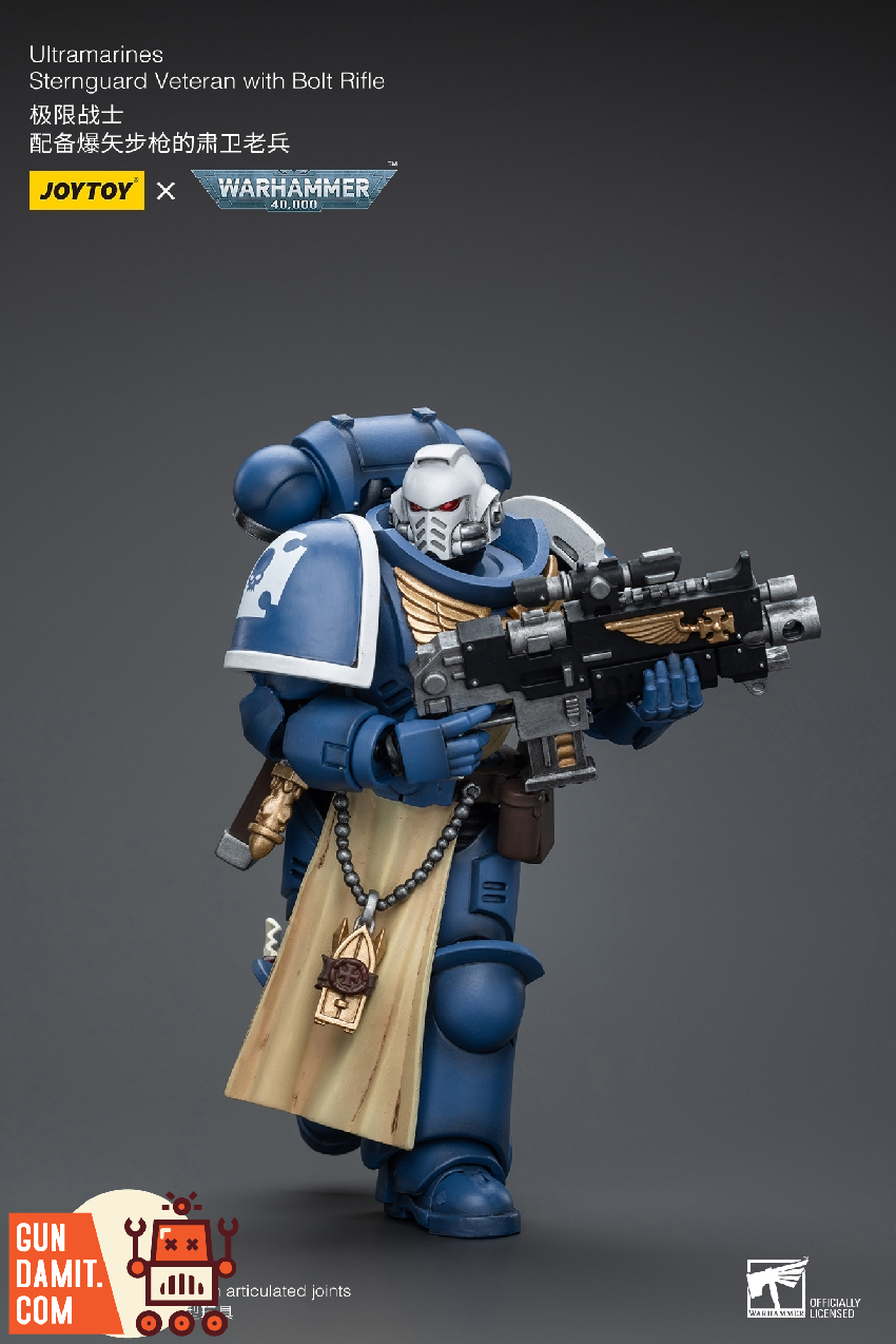 JT9831 Sternguard Veteran Bolt Rifle action pose with weapon raised JT9831 Sternguard Veteran Bolt Rifle action pose with weapon raised