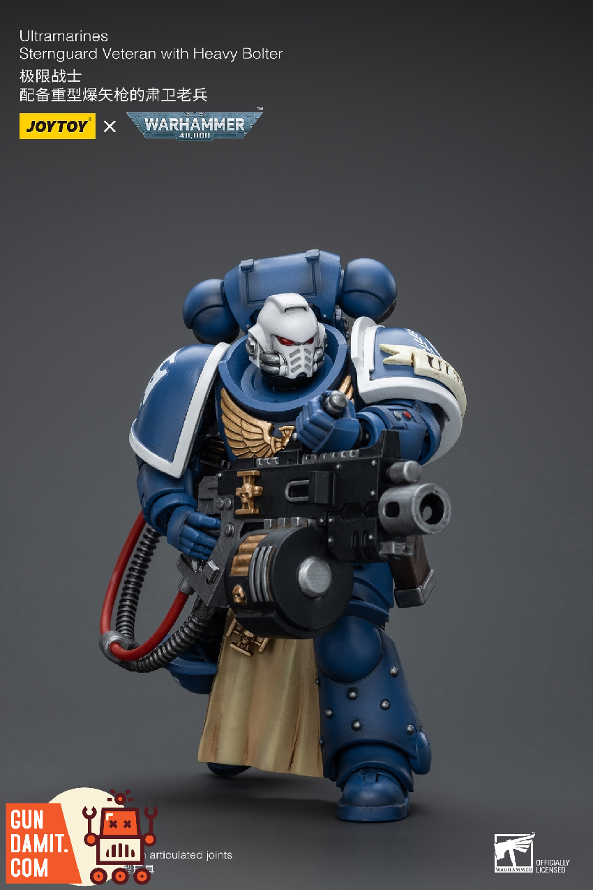 JoyToy Warhammer 40K Sternguard Veteran rear view with backpack detail JoyToy Warhammer 40K Sternguard Veteran rear view with backpack detail