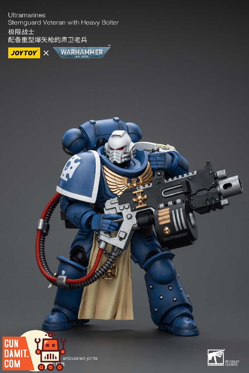 JoyToy Warhammer 40K Ultramarines Sternguard Veteran with accessories JoyToy Warhammer 40K Ultramarines Sternguard Veteran with accessories