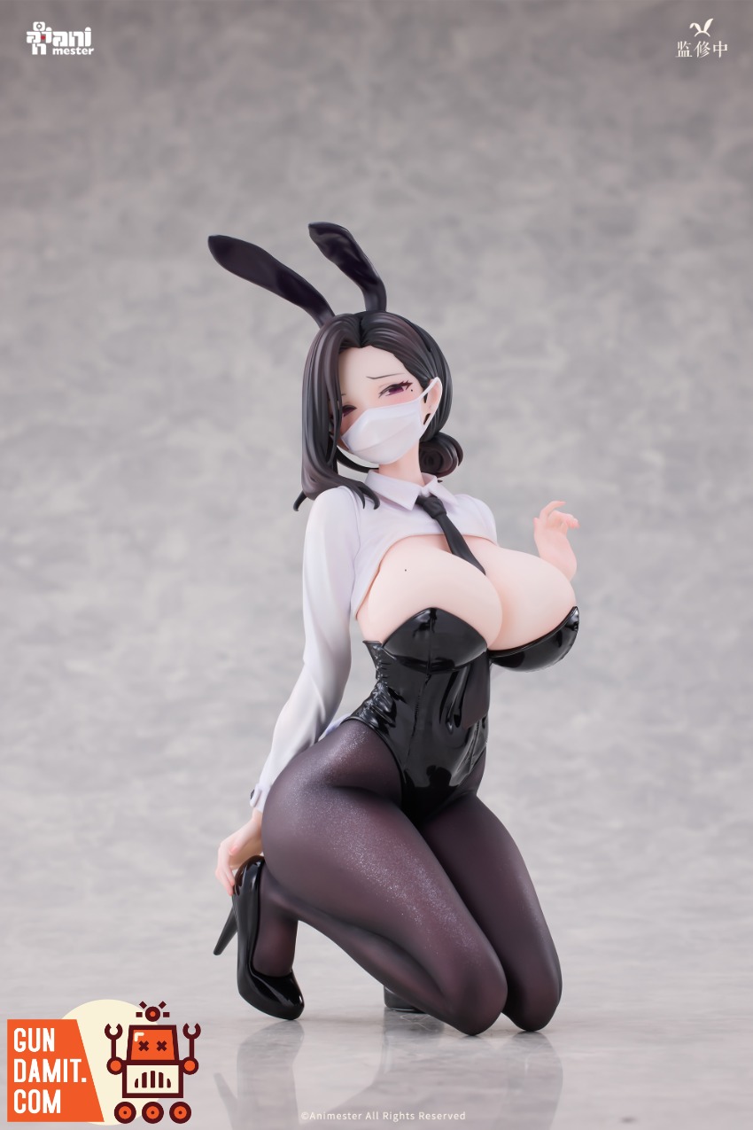 Animester 1/6 Dongtan Bunny Girl Figure view 16 Animester 1/6 Dongtan Bunny Girl Figure view 16
