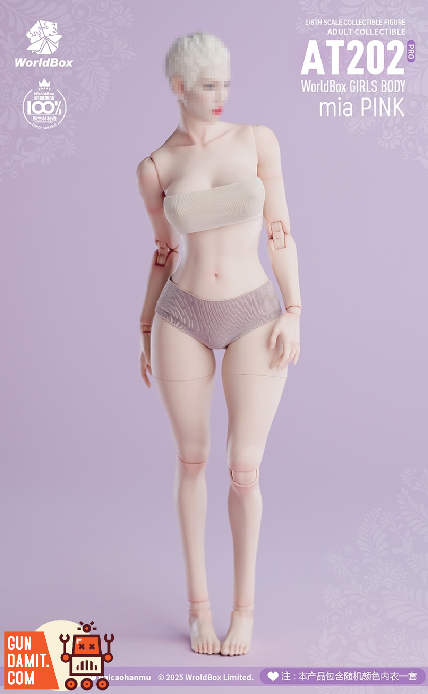 Worldbox 1/6 AT202pro Female Body Mia Pink view 2 Worldbox 1/6 AT202pro Female Body Mia Pink view 2