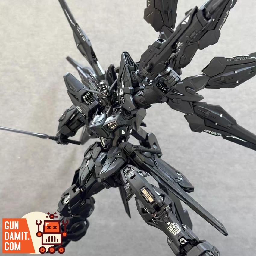 Chang Long MGEX Strike Freedom Gundam Black 1/100 view 3 Chang Long MGEX Strike Freedom Gundam Black 1/100 view 3