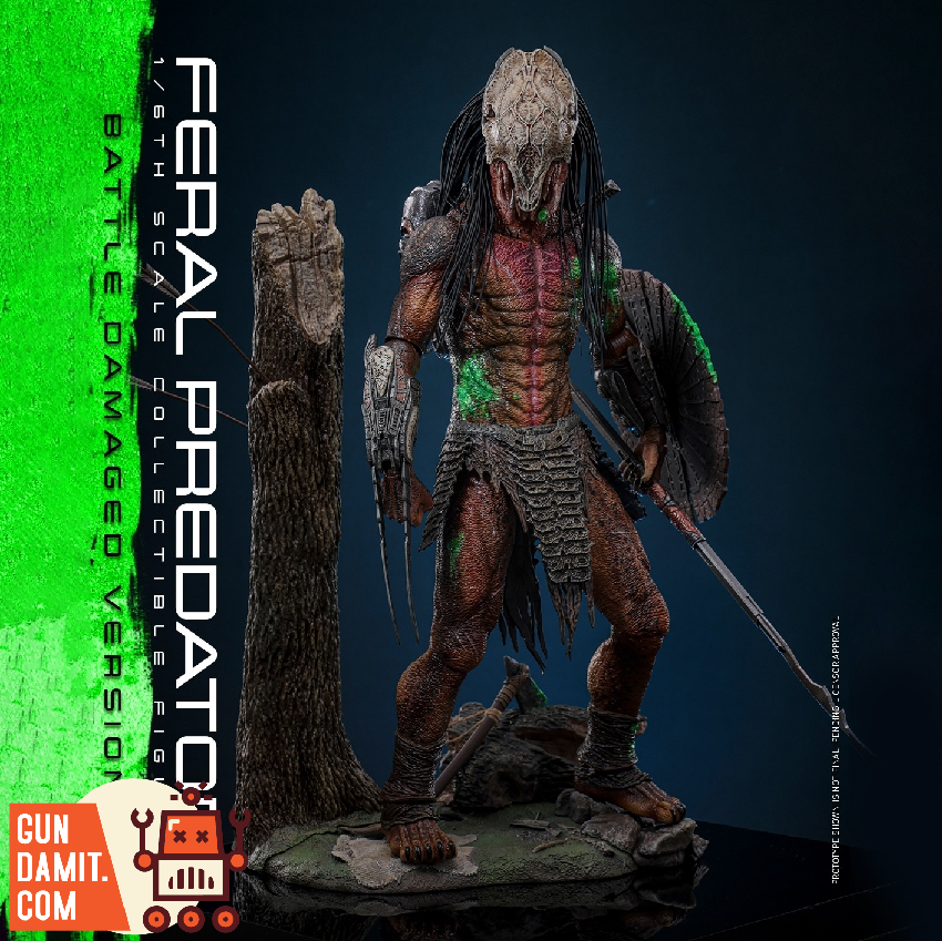 TMS173 Feral Predator Damaged - view 12 Hot Toys Feral Predator - view 12