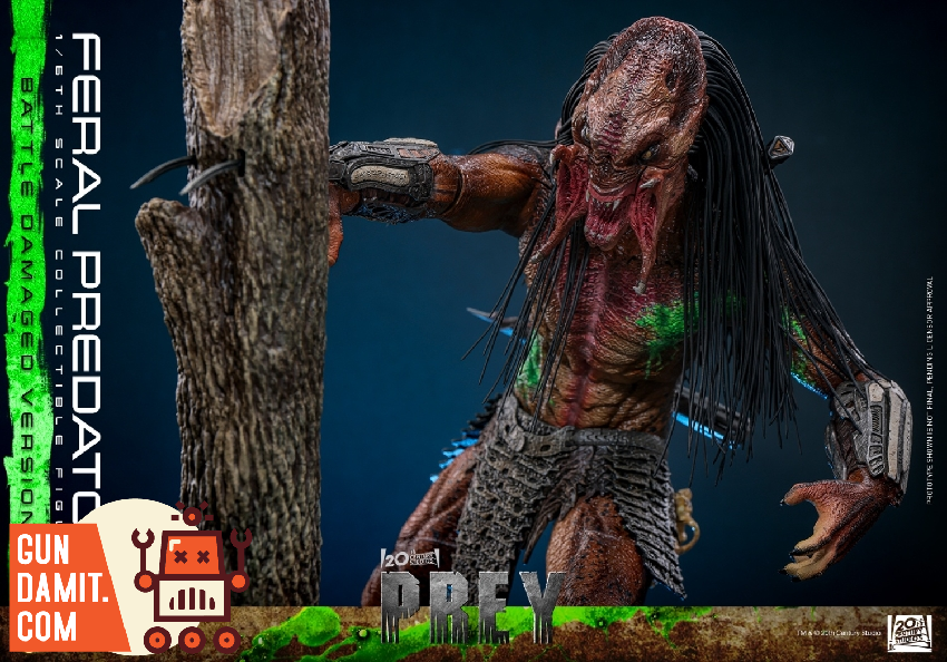 TMS173 Feral Predator Damaged - view 8 Hot Toys Feral Predator - view 8