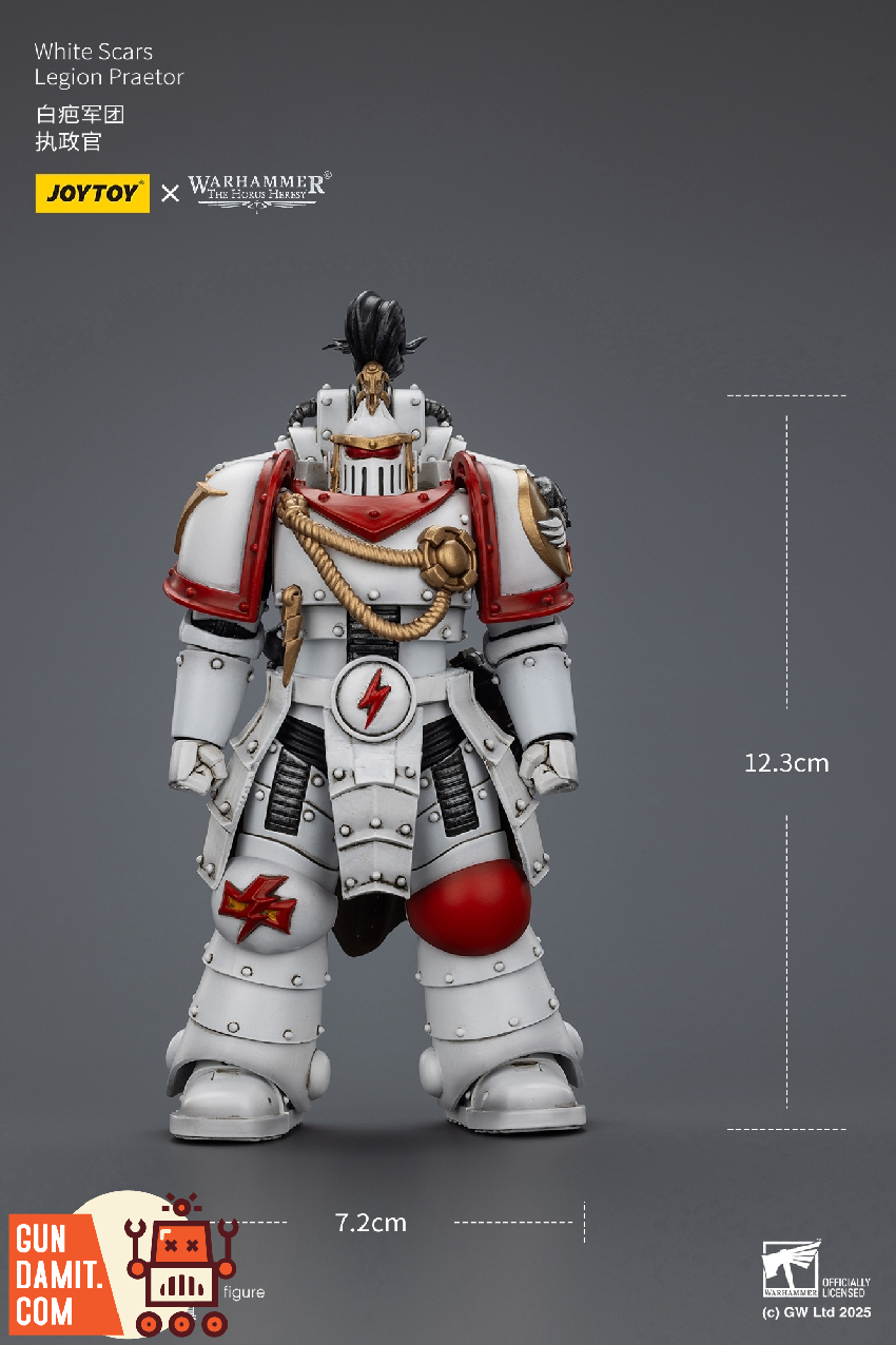 JT02939 Legion Praetor - view 23 JoyToy White Scars Praetor - view 23