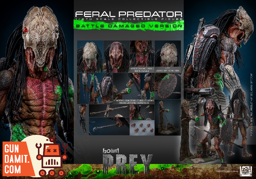 TMS173 Feral Predator Damaged - view 9 Hot Toys Feral Predator - view 9