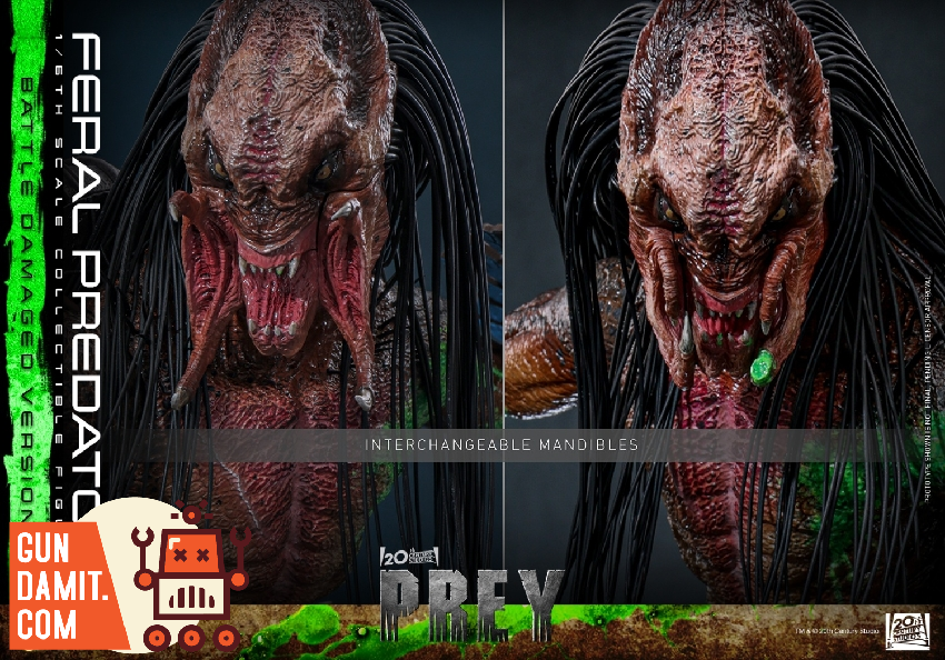 TMS173 Feral Predator Damaged - view 10 Hot Toys Feral Predator - view 10