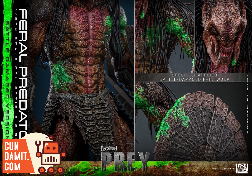 TMS173 Feral Predator Damaged - view 11 Hot Toys Feral Predator - view 11