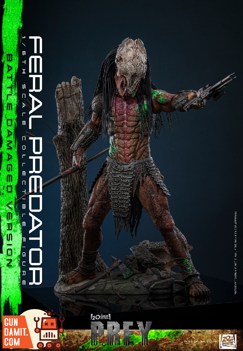 TMS173 Feral Predator Damaged - view 13 Hot Toys Feral Predator - view 13
