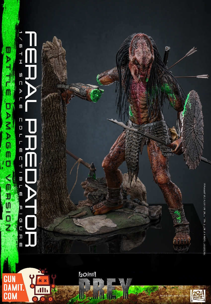 TMS173 Feral Predator Damaged - view 16 Hot Toys Feral Predator - view 16