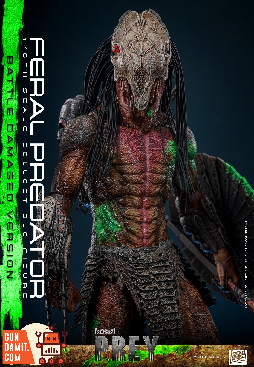 TMS173 Feral Predator Damaged - view 19 Hot Toys Feral Predator - view 19