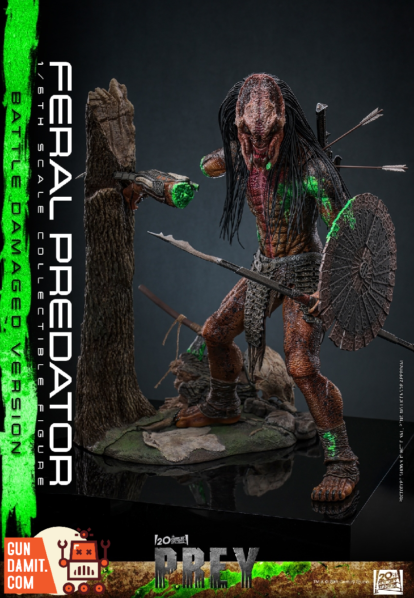 TMS173 Feral Predator Damaged - view 15 Hot Toys Feral Predator - view 15