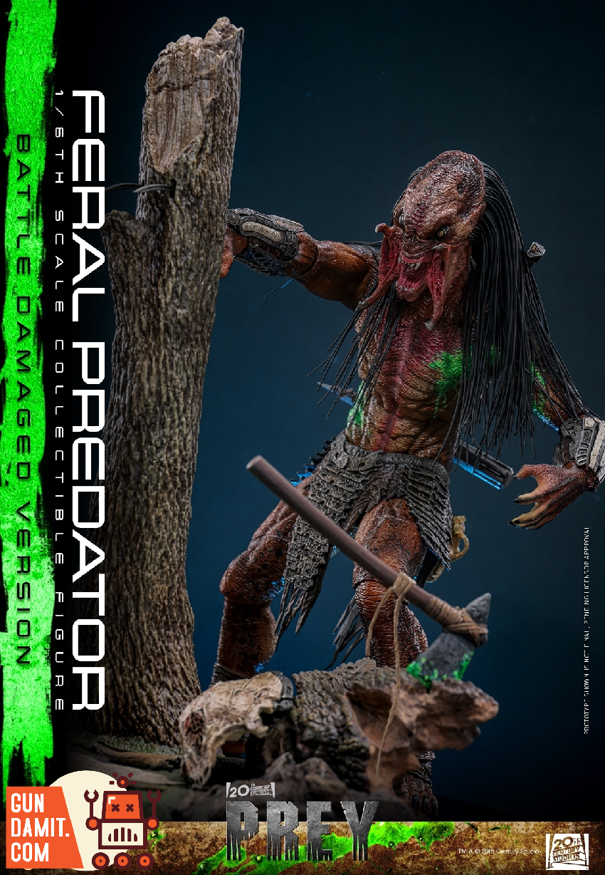 TMS173 Feral Predator Damaged - view 17 Hot Toys Feral Predator - view 17