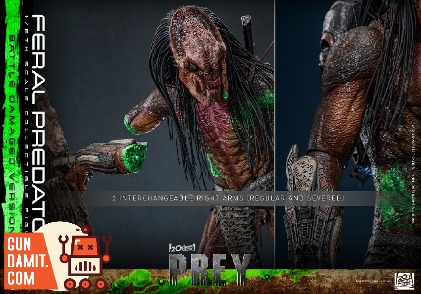TMS173 Feral Predator Damaged - view 7 Hot Toys Feral Predator - view 7