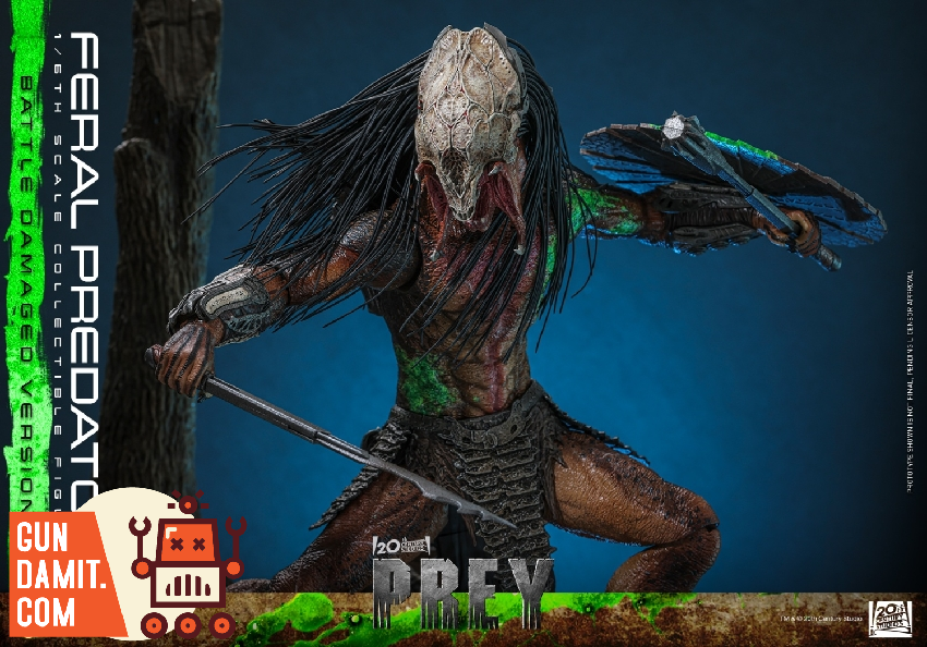 TMS173 Feral Predator Damaged - view 6 Hot Toys Feral Predator - view 6
