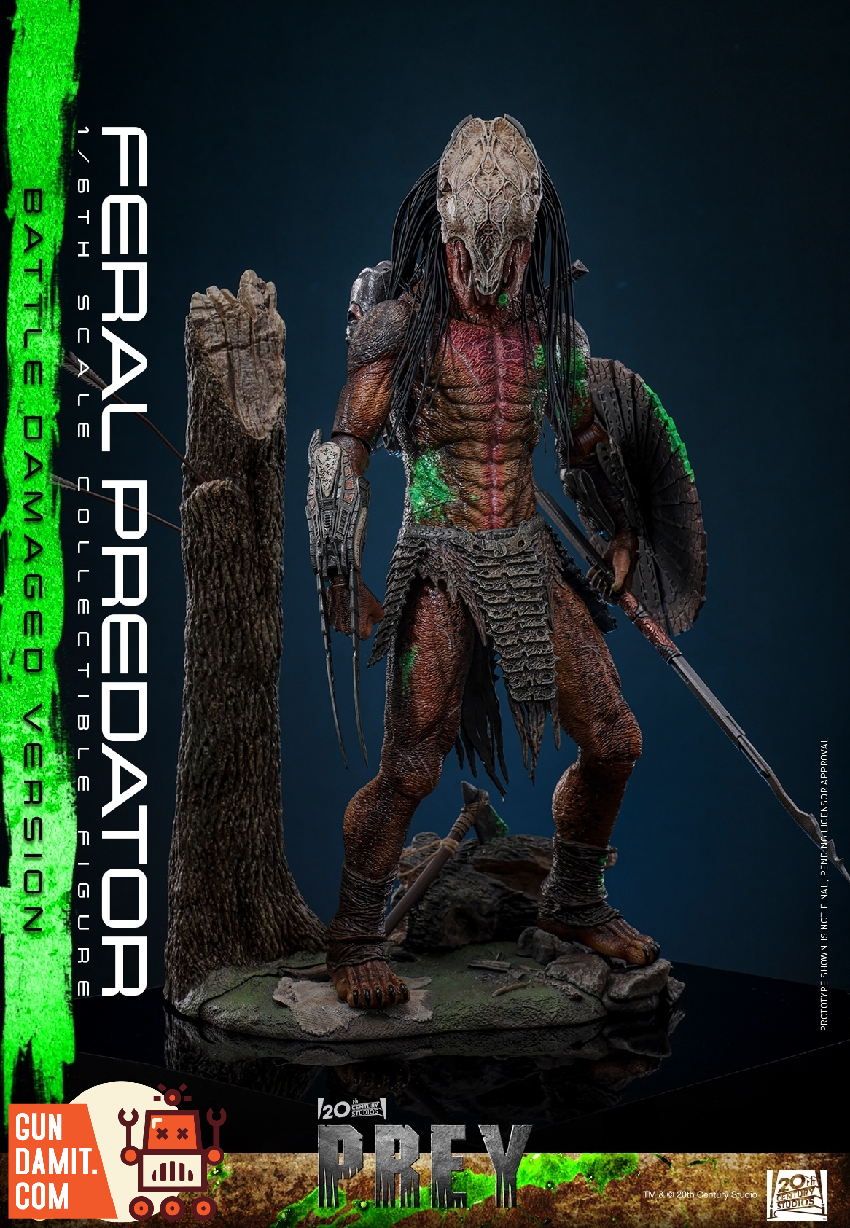 TMS173 Feral Predator Damaged - view 14 Hot Toys Feral Predator - view 14