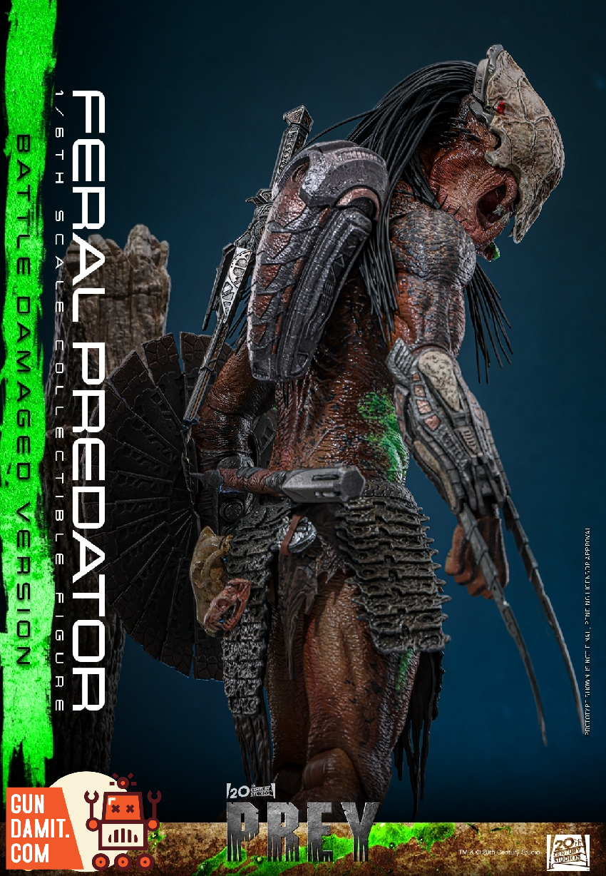 TMS173 Feral Predator Damaged - view 18 Hot Toys Feral Predator - view 18
