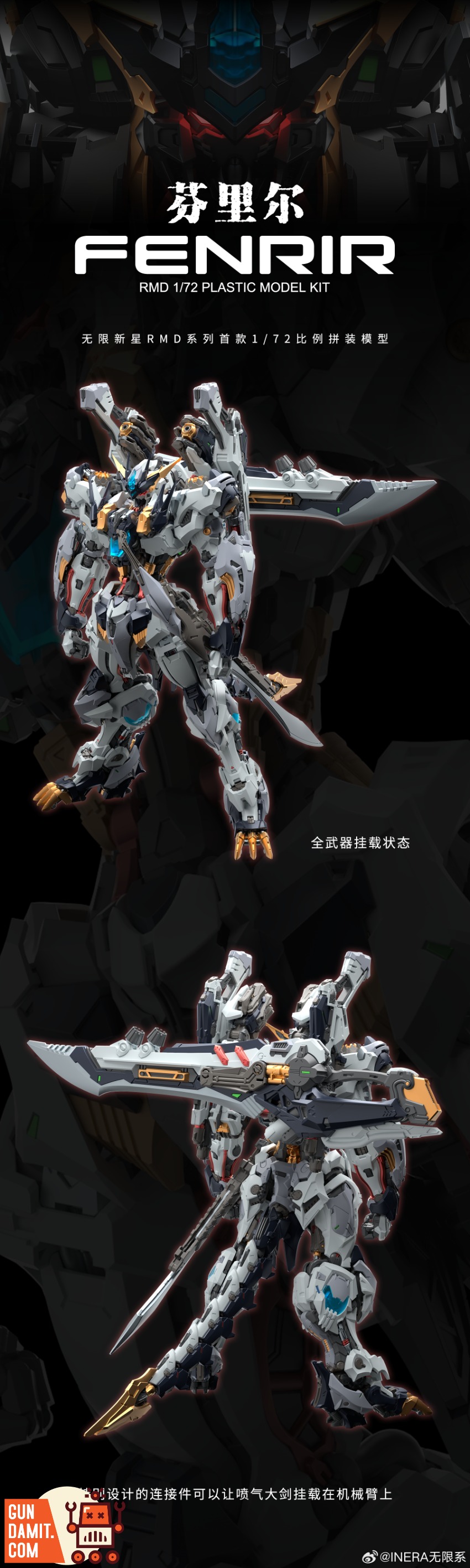 IE-FENRIR RMD Fenrir - view 19 IN ERA+ RMD Fenrir Model Kit - view 19