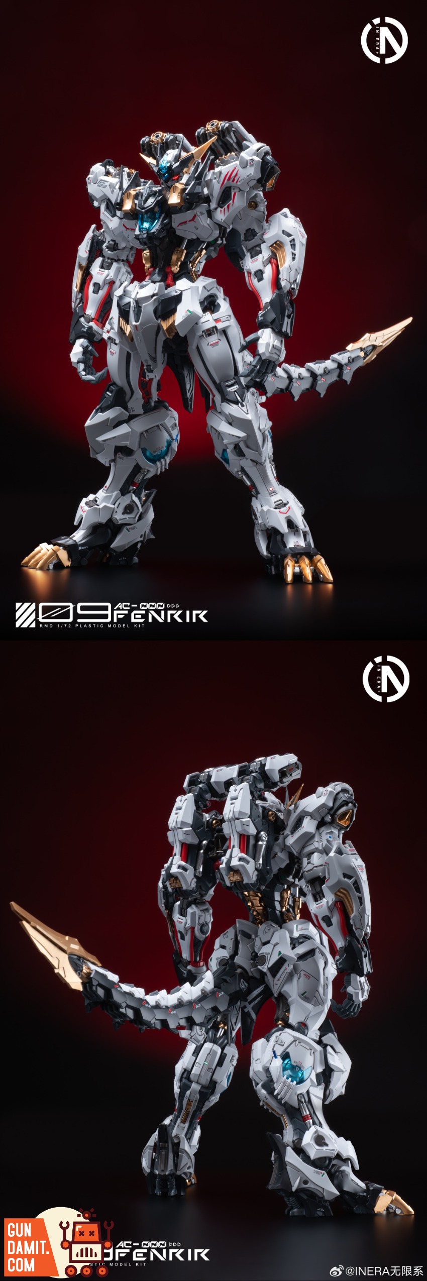 IE-FENRIR RMD Fenrir - view 11 IN ERA+ RMD Fenrir Model Kit - view 11