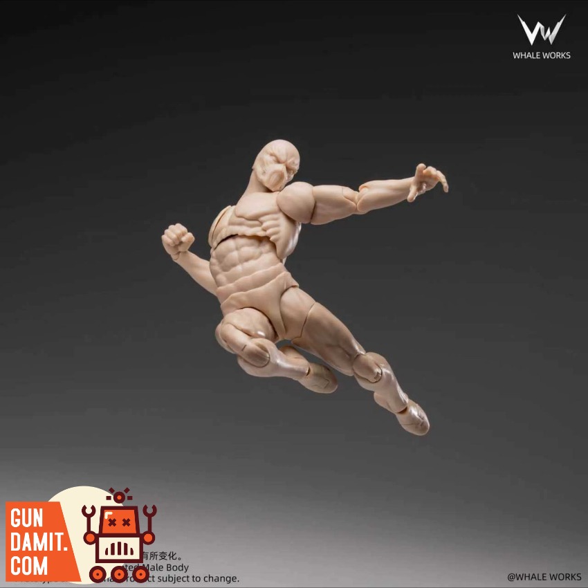 WW03A Male Body Fair Skin - view 12 Whale Works WW03A Male Body Fair Skin - view 12