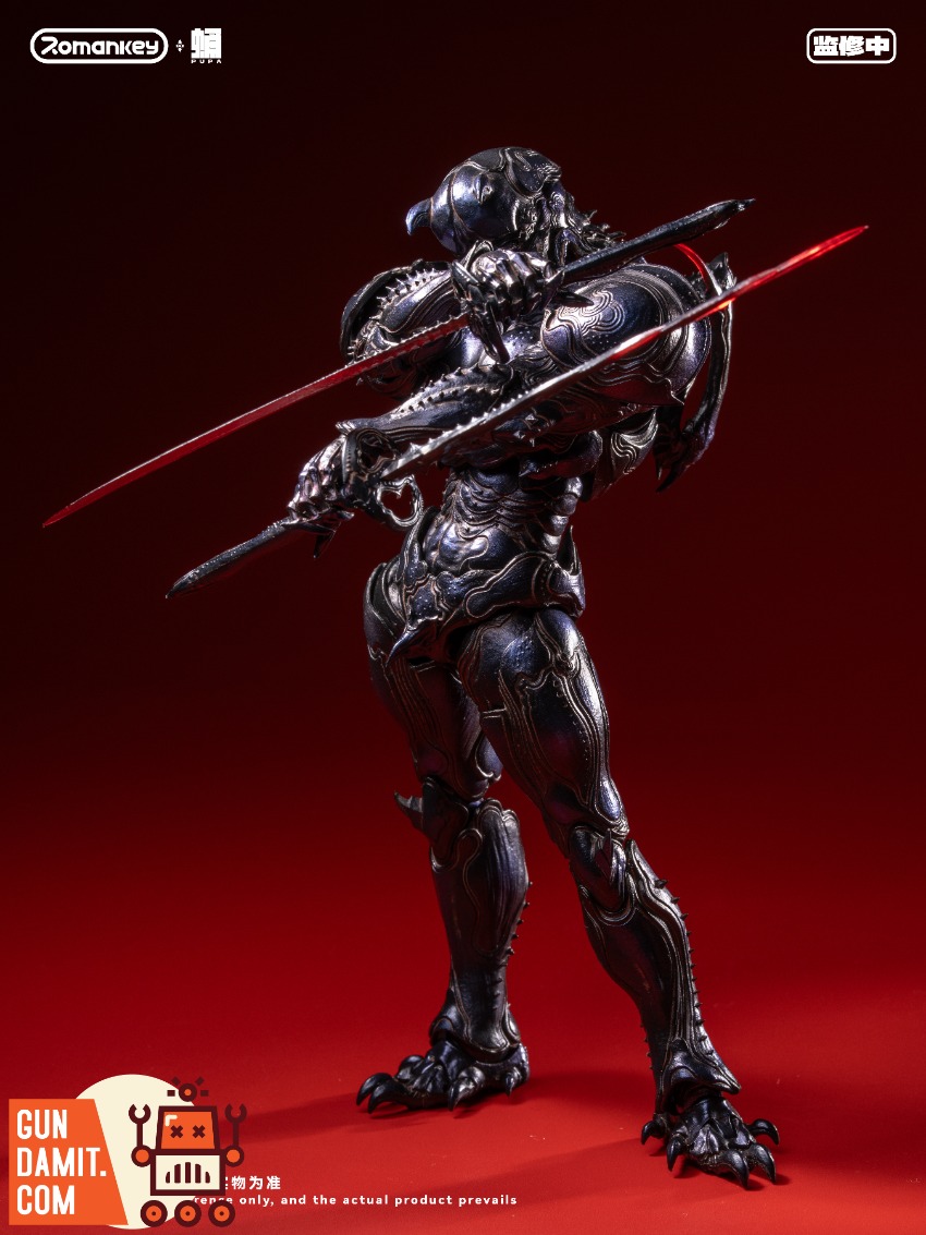 Romankey PP001 PUPA Ghost Ants 1/12 15 Romankey PP001 PUPA Ghost Ants 1/12 view 15
