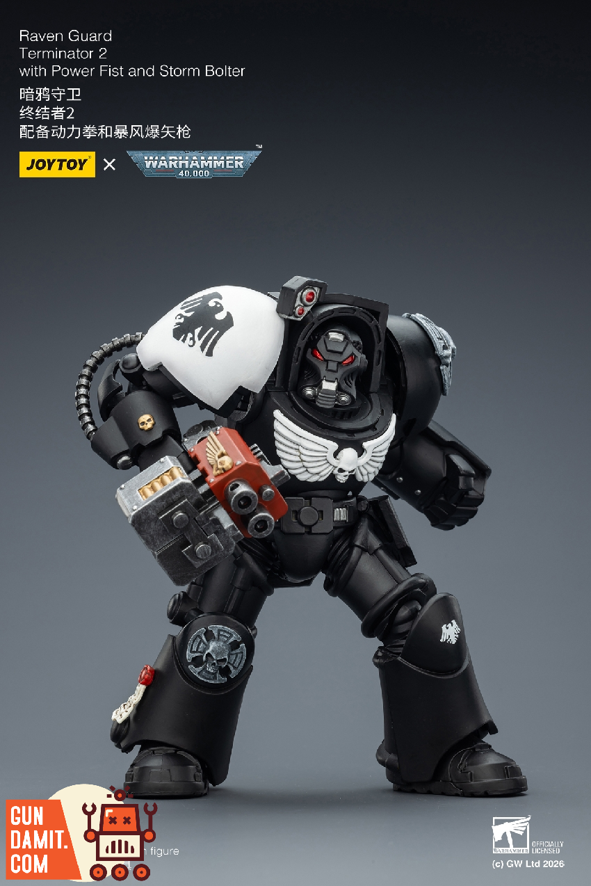 Raven Guard Terminator 2 - view 18 JoyToy JT03257 Raven Guard Terminator 2 - view 18