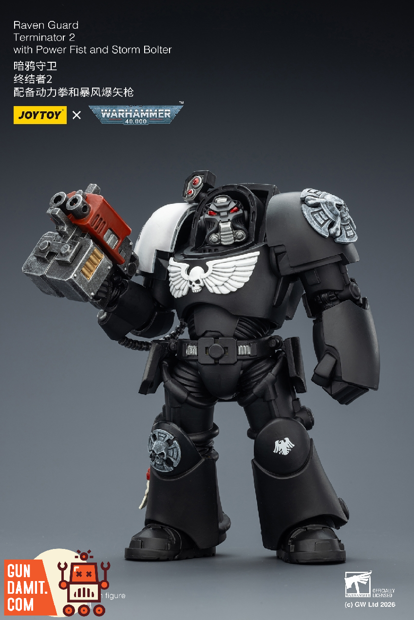 Raven Guard Terminator 2 - view 14 JoyToy JT03257 Raven Guard Terminator 2 - view 14