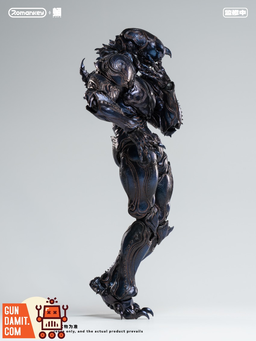 Romankey PP001 PUPA Ghost Ants 1/12 5 Romankey PP001 PUPA Ghost Ants 1/12 view 5