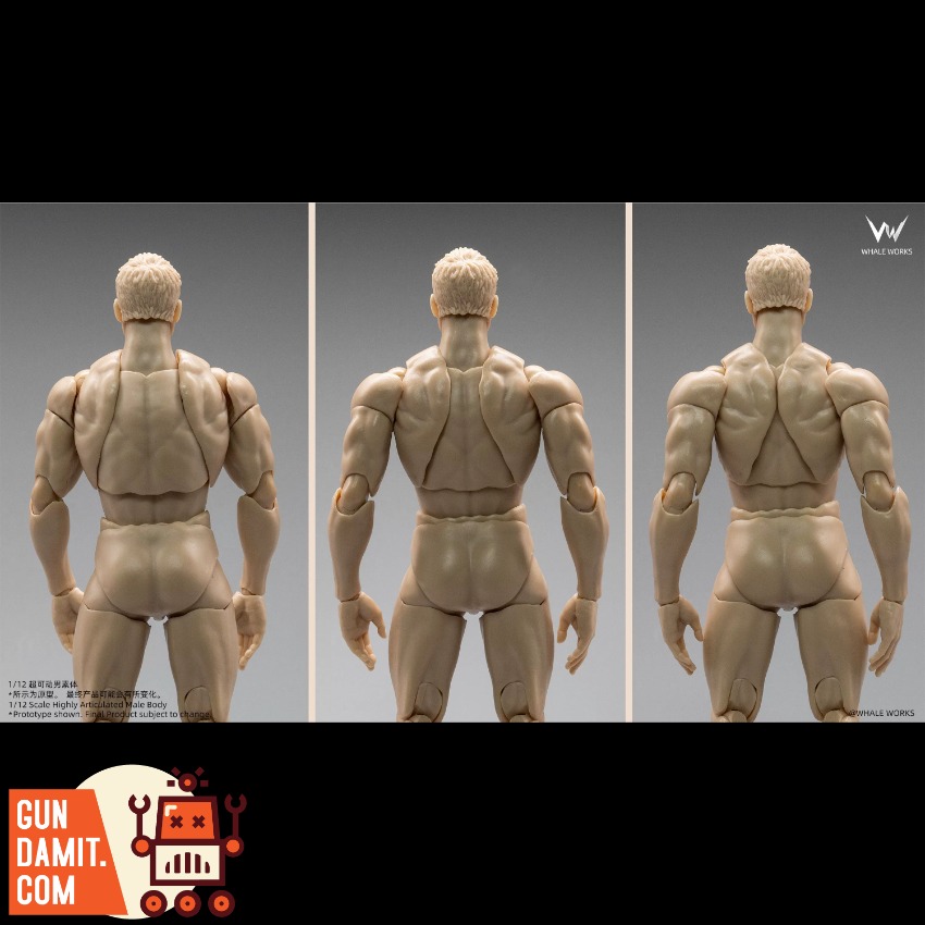 WW03A Male Body Fair Skin - close-up detail Whale Works WW03A Male Body Fair Skin - close-up detail