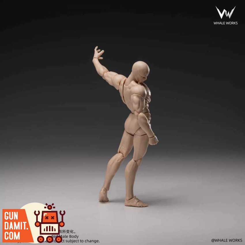 WW03A Male Body Fair Skin - view 13 Whale Works WW03A Male Body Fair Skin - view 13