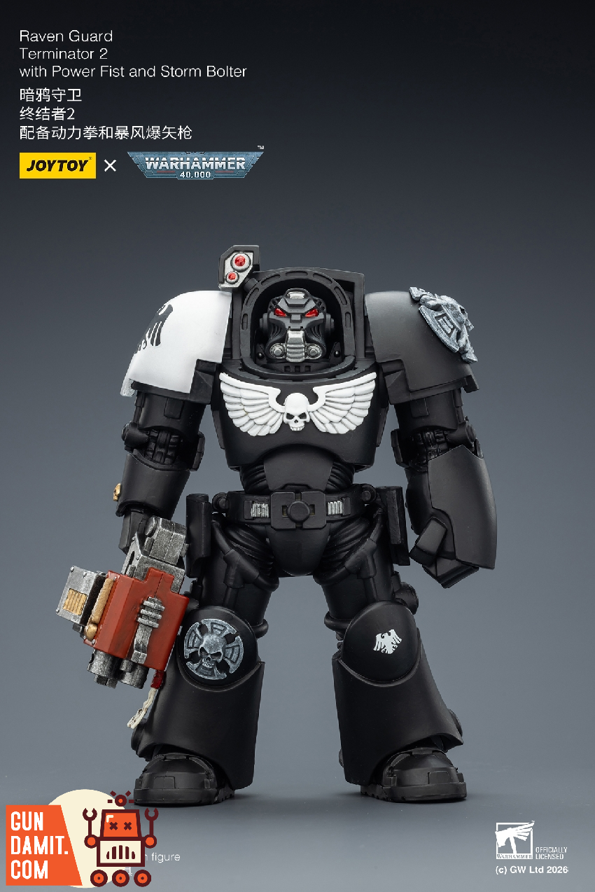 Raven Guard Terminator 2 - view 13 JoyToy JT03257 Raven Guard Terminator 2 - view 13