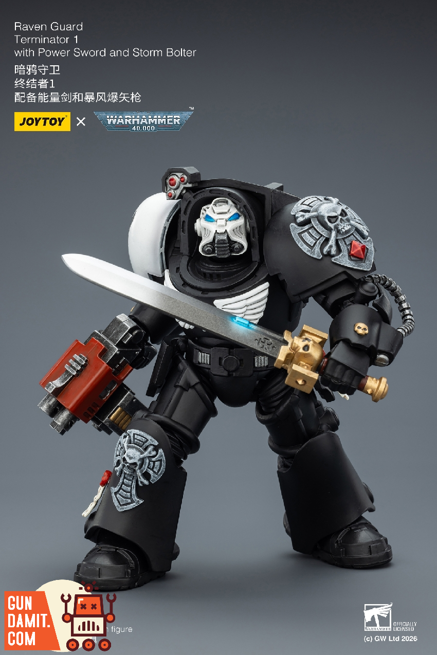 Raven Guard Terminator 1 - view 19 JoyToy JT03240 Raven Guard Terminator 1 - view 19