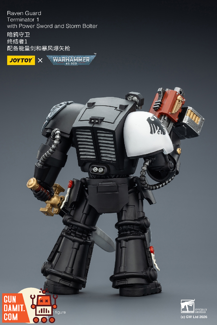 Raven Guard Terminator 1 - view 15 JoyToy JT03240 Raven Guard Terminator 1 - view 15