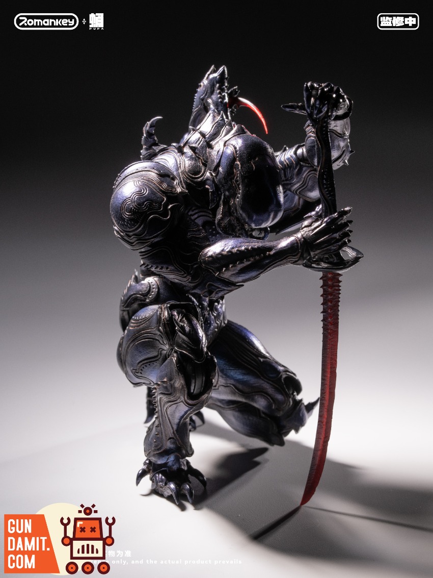 Romankey PP001 PUPA Ghost Ants 1/12 11 Romankey PP001 PUPA Ghost Ants 1/12 view 11