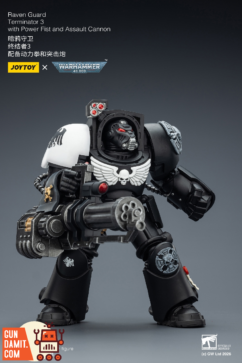 Raven Guard Terminator - view 18 JoyToy JT03264 Raven Guard Terminator - view 18