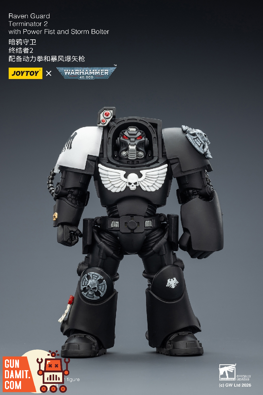 Raven Guard Terminator 2 - view 12 JoyToy JT03257 Raven Guard Terminator 2 - view 12
