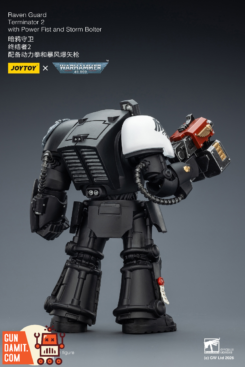Raven Guard Terminator 2 - view 15 JoyToy JT03257 Raven Guard Terminator 2 - view 15
