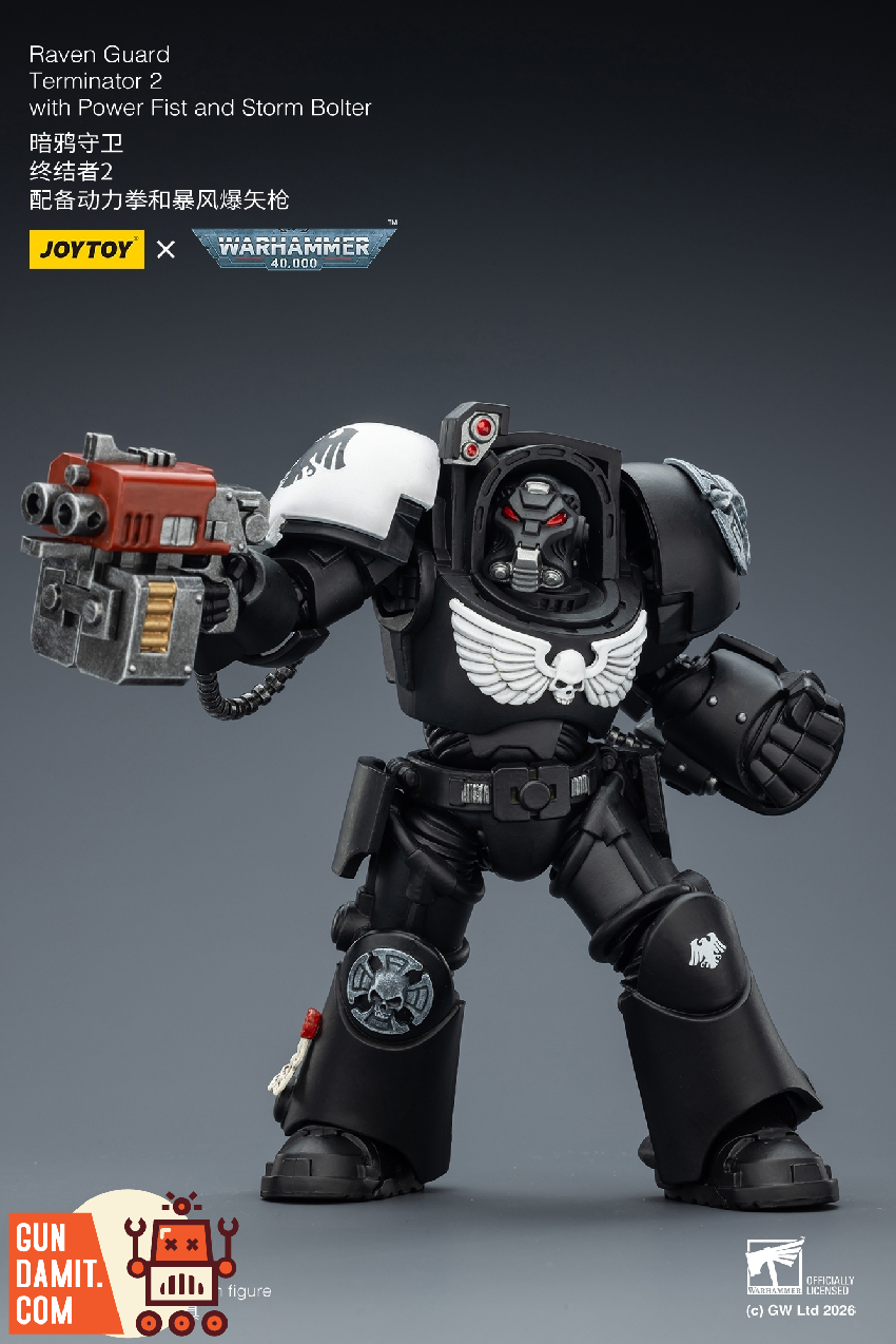 Raven Guard Terminator 2 - view 16 JoyToy JT03257 Raven Guard Terminator 2 - view 16
