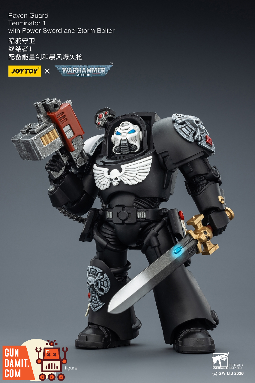 Raven Guard Terminator 1 - view 14 JoyToy JT03240 Raven Guard Terminator 1 - view 14