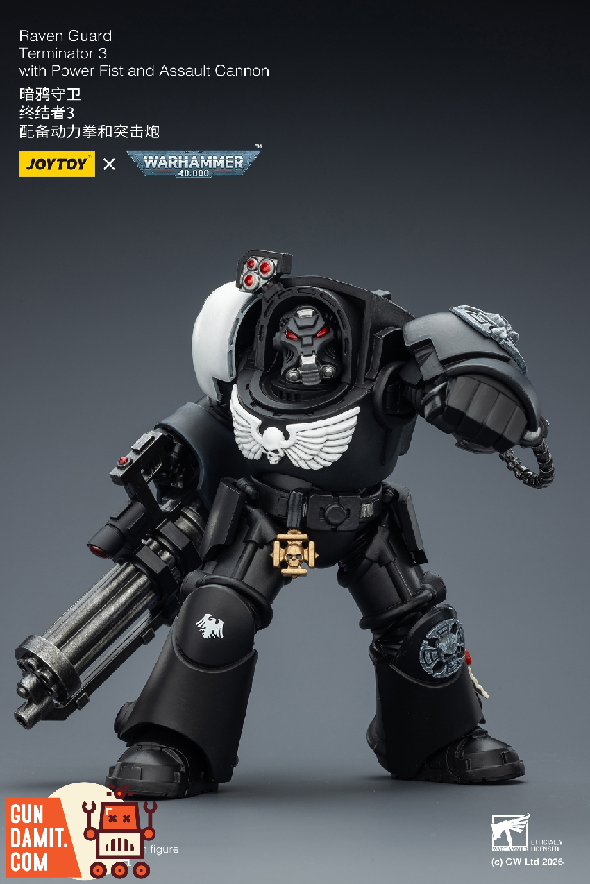 Raven Guard Terminator - view 17 JoyToy JT03264 Raven Guard Terminator - view 17