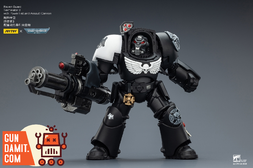 Raven Guard Terminator - view 15 JoyToy JT03264 Raven Guard Terminator - view 15