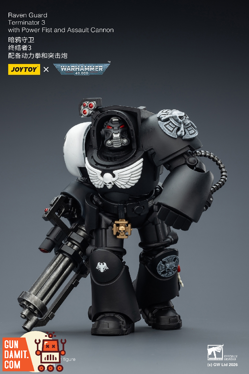 Raven Guard Terminator - view 16 JoyToy JT03264 Raven Guard Terminator - view 16