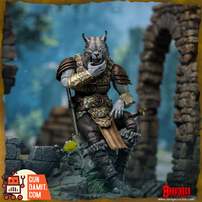 Harvinger Studios 1/12 Savage Crucible Brynyar Vael - View 8 Harvinger Studios 1/12 Savage Crucible Brynyar Vael - View 8
