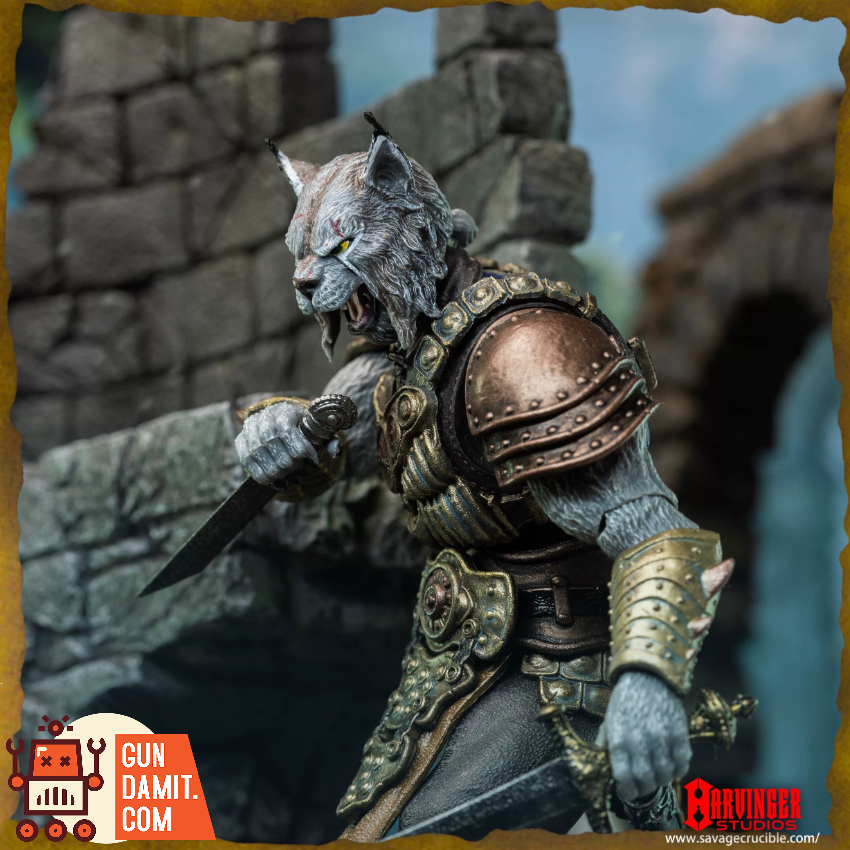 Harvinger Studios 1/12 Savage Crucible Brynyar Vael - View 10 Harvinger Studios 1/12 Savage Crucible Brynyar Vael - View 10