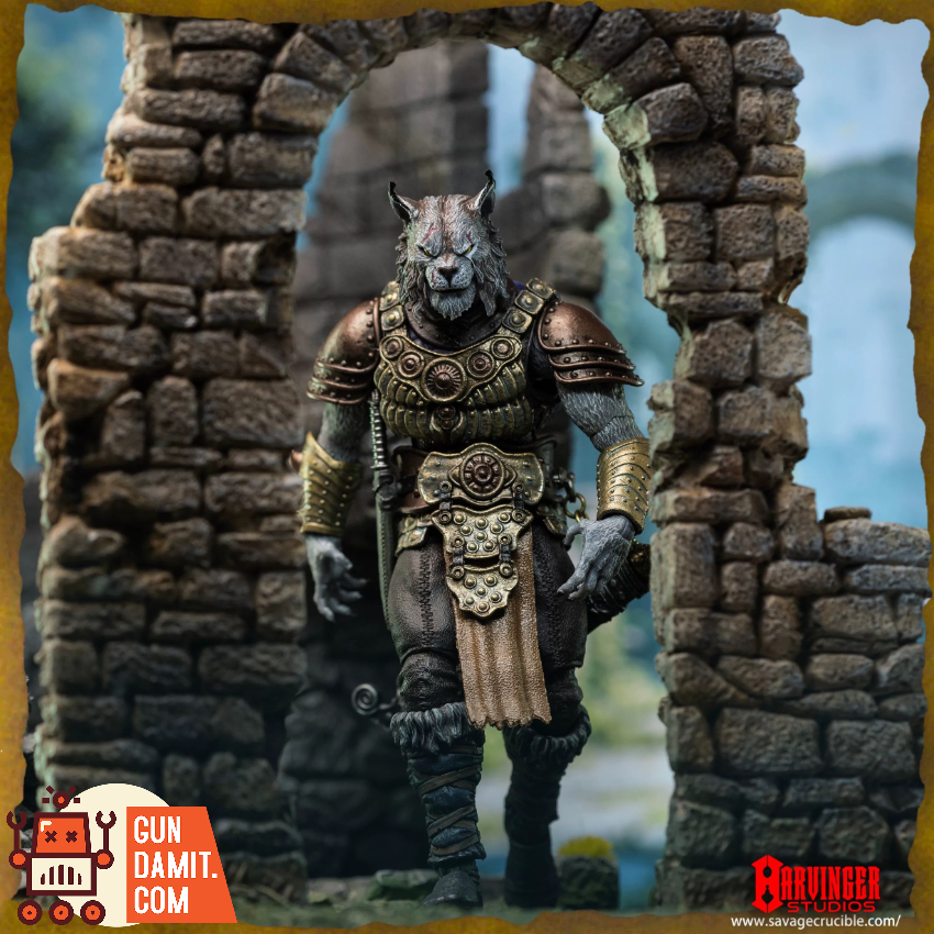 Harvinger Studios 1/12 Savage Crucible Brynyar Vael - View 7 Harvinger Studios 1/12 Savage Crucible Brynyar Vael - View 7