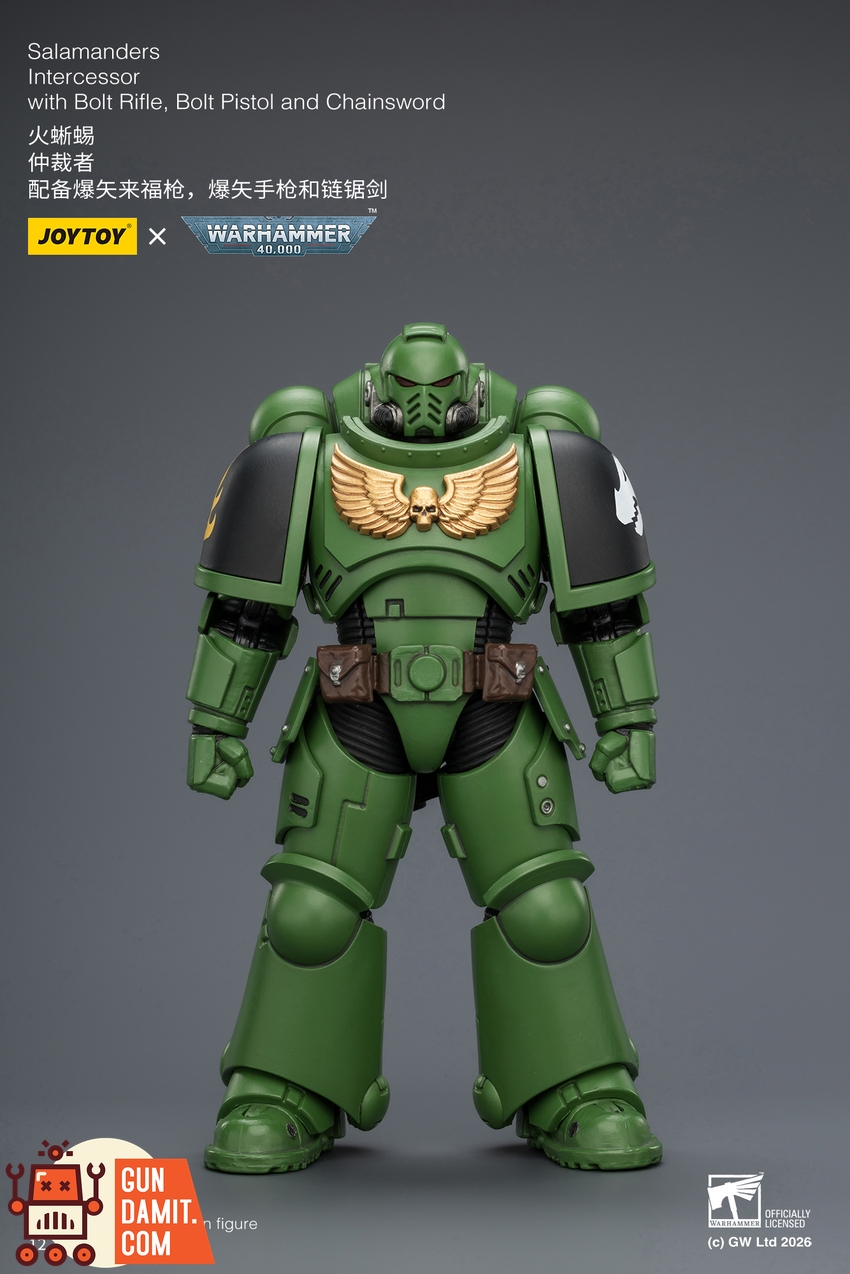 JoyToy JT03875 1/18 Warhammer 40K Salamanders Intercessor with Bolt Rifle, Bolt Pistol and Chainsword - View 1 JoyToy JT03875 1/18 Warhammer 40K Salamanders Intercessor with Bolt Rifle, Bolt Pistol and Chainsword - View 1