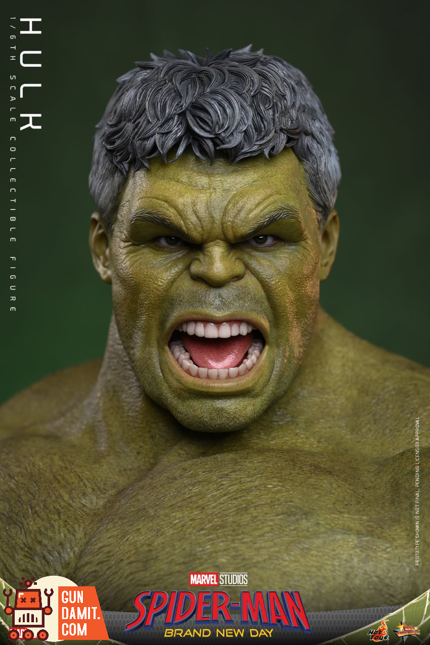 Hot Toys 1/6 MMS905 Spider-Man: Brand New Day Hulk - View 9 Hot Toys 1/6 MMS905 Spider-Man: Brand New Day Hulk - View 9