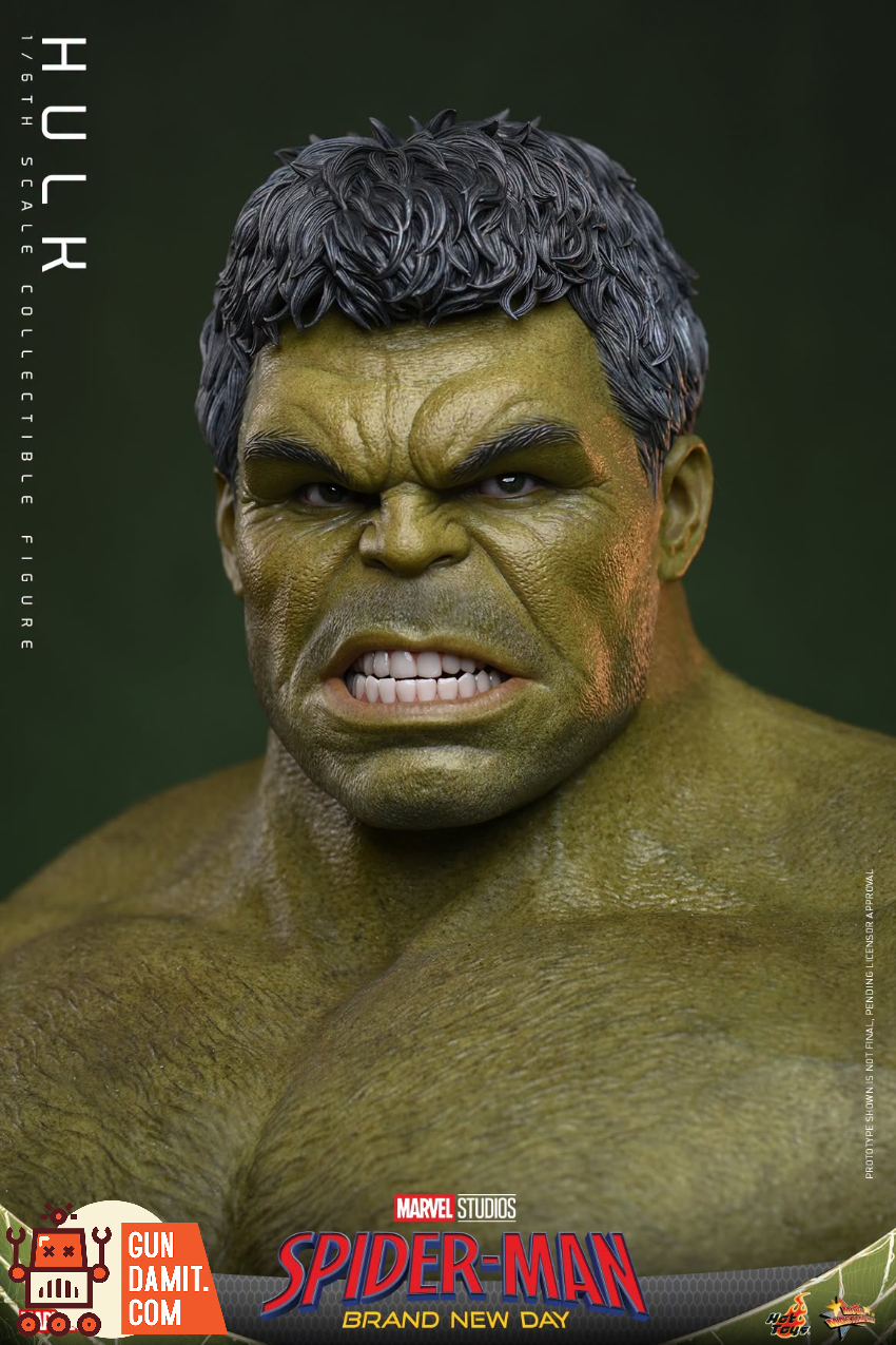 Hot Toys 1/6 MMS905 Spider-Man: Brand New Day Hulk - View 8 Hot Toys 1/6 MMS905 Spider-Man: Brand New Day Hulk - View 8