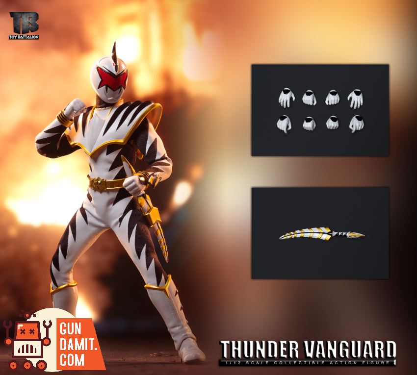 Toys Battalion 1/12 TB034 Thunder Vanguard Set of 5 - View 3 Toys Battalion 1/12 TB034 Thunder Vanguard Set of 5 - View 3